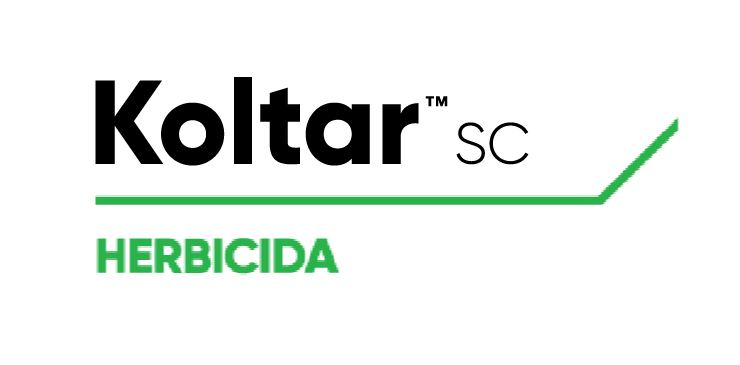KOLTAR