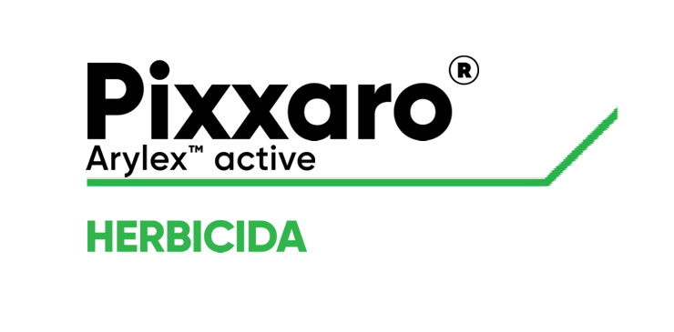 Pixxaro
