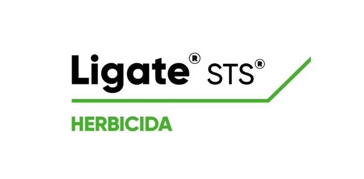 Ligate STS