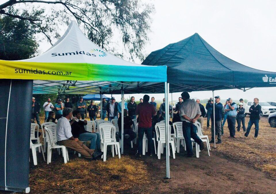 Jornada a Campo: MIB CHIVILCOY